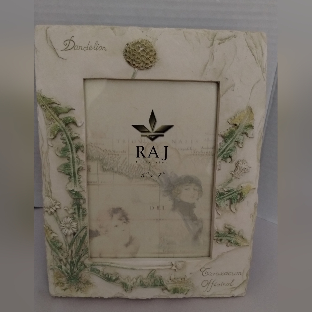 RAJ Natural World 3D Floral Picture Frame 5X7